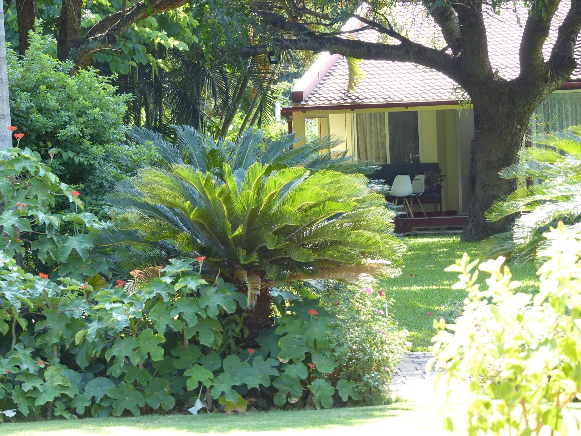 Ancha'S Oasis Hotel Maputo Exterior foto
